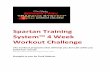 Funk Roberts Spartan Training System 4 Week Workout … · You can either use the routine as your primary weight workout (I would), or if you’re already in great ... I have a partnership