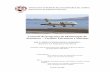 Controlo de Programa de Manutenção de Aeronaves ... · No sentido de contribuir para a optimização do programa de manutenção da frota Fokker 100 (F100) ... 12 cartas e 4 horas