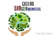 Ciclo Biogeoquímico 2018 - grupopreparaenem.com.br · Ciclo do Carbono Prof. É o percurso percorrido pelo carbono em um ambiente. Bruno Ramello. Ciclo do Carbono Prof. Bruno Ramello.