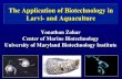 The Application of Biotechnology in Larvi and Aquaculture · The Application of Biotechnology in Larvi-and Aquaculture. Yonathan. Zohar. Center of Marine Biotechnology. University