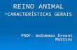 REINO ANIMAL - SOAULAS.COM · PPT file · Web view2010-06-20 · REINO ANIMAL CARACTERÍSTICAS GERAIS PROF. Waldemar Ernani Martins REINO ANIMAL Organismos pluricelulares (multicelulares).