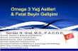 Omega 3 Yağ Asitleri & Fetal Beyin Gelişimi - tmftp.orgtmftp.org/webkontrol/uploads/files/serdarural13ekim.pdf · Omega-3 fatty acids and inflammation: Impact on heart disease,