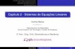 Capítulo 2 - Sistemas de Equações Lineares - ipb.ptbalsa/teaching/MN09/Cap2.pdf · Capítulo 2 - Sistemas de Equações Lineares Carlos Balsa ... Exemplo 1: Sistemas de Equações