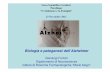 Biologia e patogenesi dell’Alzheimer - Liceo "C. Cavalleri" · 2011-11-27 · 1906 Alzheimer descrive per la prima volta la malattia 1963-1966 Le demenze di tipo neurodegenerativo
