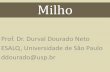 Prof. Dr. Durval Dourado Neto ESALQ, Universidade de São ... 2 - Nitrogenio... · folhas e o formato em pentágono-60 0 60 Folha 1 Folha 3 Folha 5 Folha 7 Folha 9 Folha 11 Folha
