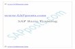 SAP Basis Trainingsapposts.com/wp-content/uploads/2017/01/sap-basis-training... · SAP Basis Training ... client with user SAP* and PASS, here the depending upon the choice of SAP