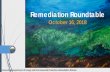 Remediation Roundtable Presentation 10-16-18 ·  ... Web Updates PFAS Fast-track Formwith DEC, PMC, ... 459 Sites with USTs removed in last 3 years.