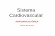 Sistema Cardiovascular - profmarcelolima.webnode.com.br · CONSTITUIÇAÕ DO SISTEMA CARDIOVASCULAR: •O sistema cardiovascular é constituído pelos seguintes elementos: sangue,