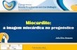 Miocardite - Congresso Novas Fronteiras em Cardiologiacongresso.caml-cardiologia.pt/public/comunicacoes/2013/CNFC-2013... · Miocardite Perimiocardite Miopericardite Pericardite .