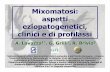 Mixomatosi: aspetti eziopatogenetici, clinici e di profilassi · • essudato ulcere mixomatose • sangue • urine. Materiale didattico di proprietà degli Autori (A. Lavazza e
