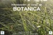 Introducción al curso de BOTANICA - fagro.edu.uy · Introducción al curso de BOTANICA Dra. Biól. Gabriela Speroni Laboratorio de Botánica –Departamento de Biología Vegetal