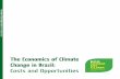 The Economics of Climate Change in Brazil · Roberto Schaeffer (COPPE/UFRJ) e Ulisses Confalonieri (FIOCRUZ). ... Brazil 4. Regional economics - Brazil 5. Public policies - Brazil