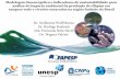 tica e indicadores de sustentabilidade para análise do ...fapesp.br/eventos/2017/REUNIAOPFPMCG2017/20-06/15h40_Guilherme.pdf · Modelagem bioenergética e indicadores de sustentabilidade