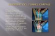 SINDROME DEL TUNNEL CARPALE - Angiolini & Collarini DEL TUNNEL... · motoria del nervo mediano (diminuzione della velocità di conduzione, aumento della latenza sensitiva distale,