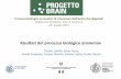 Processi biologici innovativi di rimozione dell’azoto dai ... · Claudio Lubello, Elena Ficara Alti rendimenti di rimozione di Ammonio (96%), Nitrito (99%), ed Azoto Totale (89%).