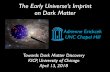 The Early Universe’s Imprint on Dark Matterkicp-workshops.uchicago.edu/2018-dm/depot/invited-talk-erickcek... · Gelmini, Gondolo 2006 Gelmini, Gondolo, Soldatenko, Yaguna 2006