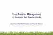 Crop Residue Management to Sustain Soil Productivity · Crop Residue Management to Sustain Soil Productivity Sandra Corsi (FAO Plant Production and Protection Division)