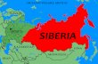 Russia - scuoleasso.gov.it Enisej e i monti Urali, il Bassopiano della Siberia Occidentale, ampia regione pianeggiante composta soprattutto da acquitrini, ... complesso sistema di