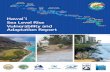 Sea Level Rise Vulnerability and Adaptation Report»i Sea Level Rise Vulnerability and Adaptation Report iii Acknowledgements The Hawaiʻi Climate Change Mitigation and Adaptation