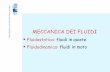 MECCANICA DEI FLUIDI - personalpages.to.infn.itpersonalpages.to.infn.it/~obertino/DIDATTICA/INF_2010/Fluidi1.pdf · Fluidostatica: fluidi in quiete Fluidodinamica: fluidi in moto