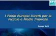 I Fondi Europei Diretti per le Piccole e Medie Imprese · Indice’(2/4) Parte’B’–I’programmi’europei! !!!! Panoramicadei!programmi!europei ! !!!!20! a)!HORIZON!2020 ! !!!!!21