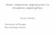 Host response signatures to invasive aspergillus · Host response signatures to invasive aspergillus Teresa Zelante University of Perugia Microbiology Section