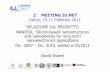 2 MEETING IU.NET Udine, 10-11 Febbraio 2011 RELAZIONE … · David Esseni. 2 Genesi del progetto •Consolidamento della NoE SINANO (6FP, 2004-2007) con ridimensionamento numero partners