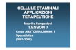 Corso ANATOMIA UMANA II Specialistica (2007(2007-2008) …paviabiotechnology.myblog.it/media/00/02/292612130.pdf · Corso ANATOMIA UMANA II Specialistica (2007(2007-2008) 2008) APPARATO