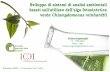 Sviluppo di sistemi di analisi ambientali basati sull ... · Sviluppo di sistemi di analisi ambientali basati sull'utilizzo dell’alga fotosintetica verde Chlamydomonas reinhardtii