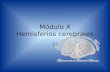 [PPT]Módulo VIII Mesencéfalo - eTableros · Web viewTitle Módulo VIII Mesencéfalo Last modified by David Tovar Created Date 12/5/2006 11:46:24 PM Document presentation format