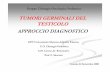 TUMORIGERMINALIDEL TESTICOLO …chped.it/gico/catania/rel diagnosi testicolo CCatania 2008.pdf · Supporto dell’ ECD quando la scala ecografica del grigio è normale. Markers tumorali