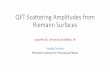 QFT Scattering Amplitudes from Riemann Surfaces · (FC, P. Cha, S. Mizera 2016) Extension of Theories via Soft Limits In the soft limit it is easy to write it as: Could these new