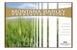 MONTANA BARLEY - MSU Extension · MONT MONTANA BARLEY PRODUCTION GUIDE 1 Barley description and history In 2015 Montana producers harvested 860,000 acres of barley at a value of over