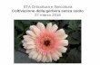 STA Orticoltura e floricoltura - manageweb.ict.uniba.it fileIl fondo della canaletta presenta i rilievi longitudinali ... • Gli steli vengono raccolti quando compare il polline sui