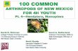Class Insecta: Order Hemiptera - New Mexico State Universityaces.nmsu.edu/4h/documents/100-arthropods---pt-4-hemiptera.pdf · Class Insecta: Order Hemiptera ‘True Bugs’ Features