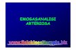 EMOGASANALISI - lnx.mednemo.itlnx.mednemo.it/wp-content/uploads/2009/07/EMOGASANALISI.pdf · Prelievo arterioso • Il prelievo arterioso può essere eseguito nelle ... – Embolia
