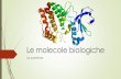 Le molecole biologichetoken...Le strutture secondarie: alpha-eliche Anche se i legami peptidici sono non-rotazionali, tutti gli altri legami presenti nello scheletro assile, lo sono.
