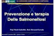Prevenzione e terapia Delle Salmonellosi - ARPA Veneto · da HIV, per i portatori di neoplasie e di protesi vascolari e per i soggetti con anomalie valvolari cardiache. Mercoledì