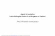 Prof. Michele Iannizzotto · • Antagonisti di agenti di malattia delle piante: Ampelomyces quisqualis contro l'Oidio della vite e Trichoderma harzianum per il controllo della Muffa