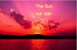 Il sole - Liceo Teresa Gullace di Roma · Il Sole e’ una delle 100 miliardi di stelle che popolano la nostra Galassia. ... 696000 km, cioè 110 volte più grande della Terra. E’