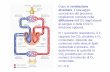 Dopo la ventilazione alveolare successivo del processo R = … · 2016-03-03 · rapporto tra CO prodotta e O Dopo la ventilazione alveolare , ... La capacità di diffusione polmonare