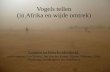 Vogels tellen (in Afrika en wijde omtrek) - thissideofparadise.nlthissideofparadise.nl/wp-content/uploads/2015/08/Haren.tellen-rob.pdf · Vogels tellen (in Afrika en wijde omtrek)
