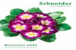 BIENNIALS - downloads.schneiderbv.nldownloads.schneiderbv.nl/schneider-catalogue-biennials-2019.pdf · 2. 3 BIENNILS. BIENNILS. Crop time: Indication in weeks from potting till flowering,
