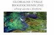 GLOBALNE CYKLE BIOGEOCHEMICZNEkfs.ftj.agh.edu.pl/~wachniew/GBC_7_N_P.pdf · 2008-12-22 · Znaczenie azotu dla organizmów żywych ... - zakwity glonów - straty w rybactwie. Eutrofizacja