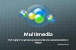 Multimedia - Bachmacka UCZNIOW/Multimedia.pdf · Przy nauce pomoc multimediów działa w ten sam sposób jak przy procesie poznawania. Uczeń w szkole łatwiej nabędzie trwałą