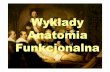 Wykłady Anatomia Funkcjonalna - test.awf-gorzow.edu.pl · Anatomia (grec. anatemnein= rozcinać, rozczłonkowywać) Przedmiotem anatomii: człowiek, zwierzęta, rośliny, Anatomia
