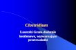 Clostridium - vollmedica.euvollmedica.eu/zalaczniki/clostridium.180120141528.pdf · • Laseczki Cl perfringens mogą również wywołać zatrucia pokarmowe, ... Do pokarmowego zatrucia
