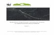 Pozyskanie drewna w nadleśnictwach bieszczadzkichprzyrodnicze.org/wp-content/uploads/2017/01/raport___drogi... · Rozbudowa dróg leśnych i pozyskanie drewna w nadleśnictwach bieszczadzkich