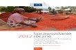 Sprawozdanie roczne 2012 na temat polityki Unii ...ec.europa.eu/europeaid/sites/devco/files/annual-report-2012...polityki Unii Europejskiej w zakresie rozwoju i pomocy zewnętrznej