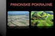 PANONSKE POKRAJINE - dijaski.net · PRLEKIJA IN PREKMURJE Prlekija je kulturno območje, kjer govorijo prleško narečje. Obsega Mursko polje, vzhodni del Slovenskih goric in Ptujsko